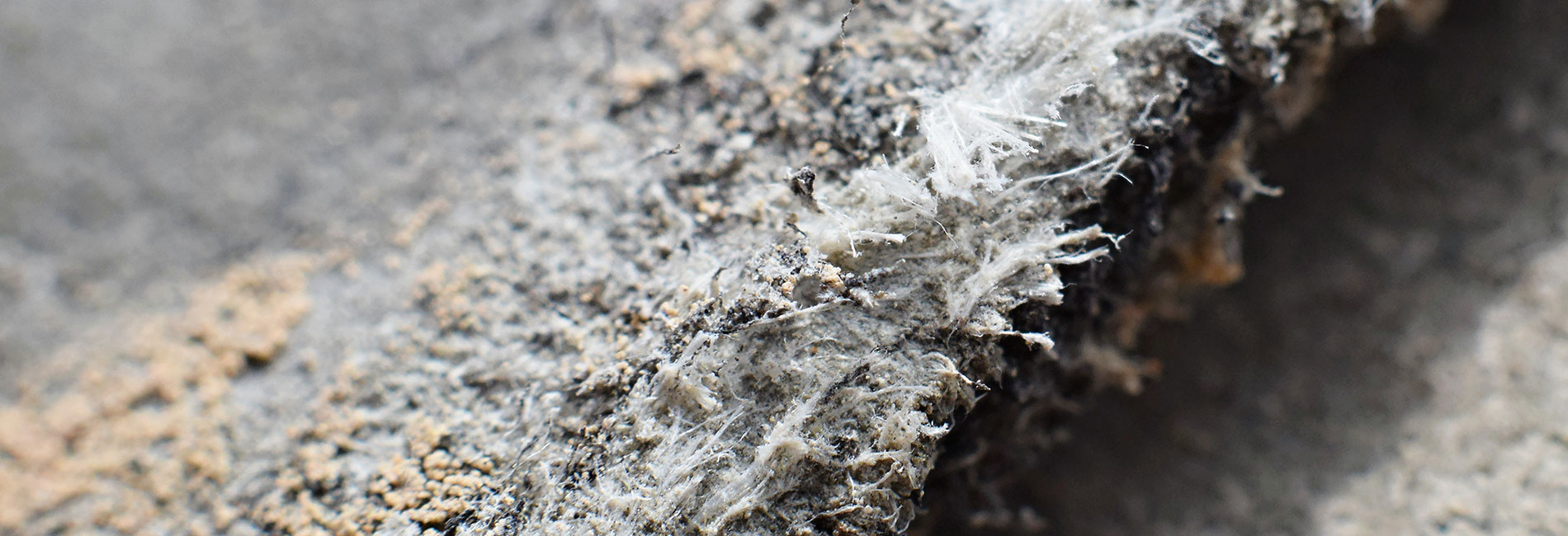 Asbestentfernung durch Staritz aus Aachen Köln